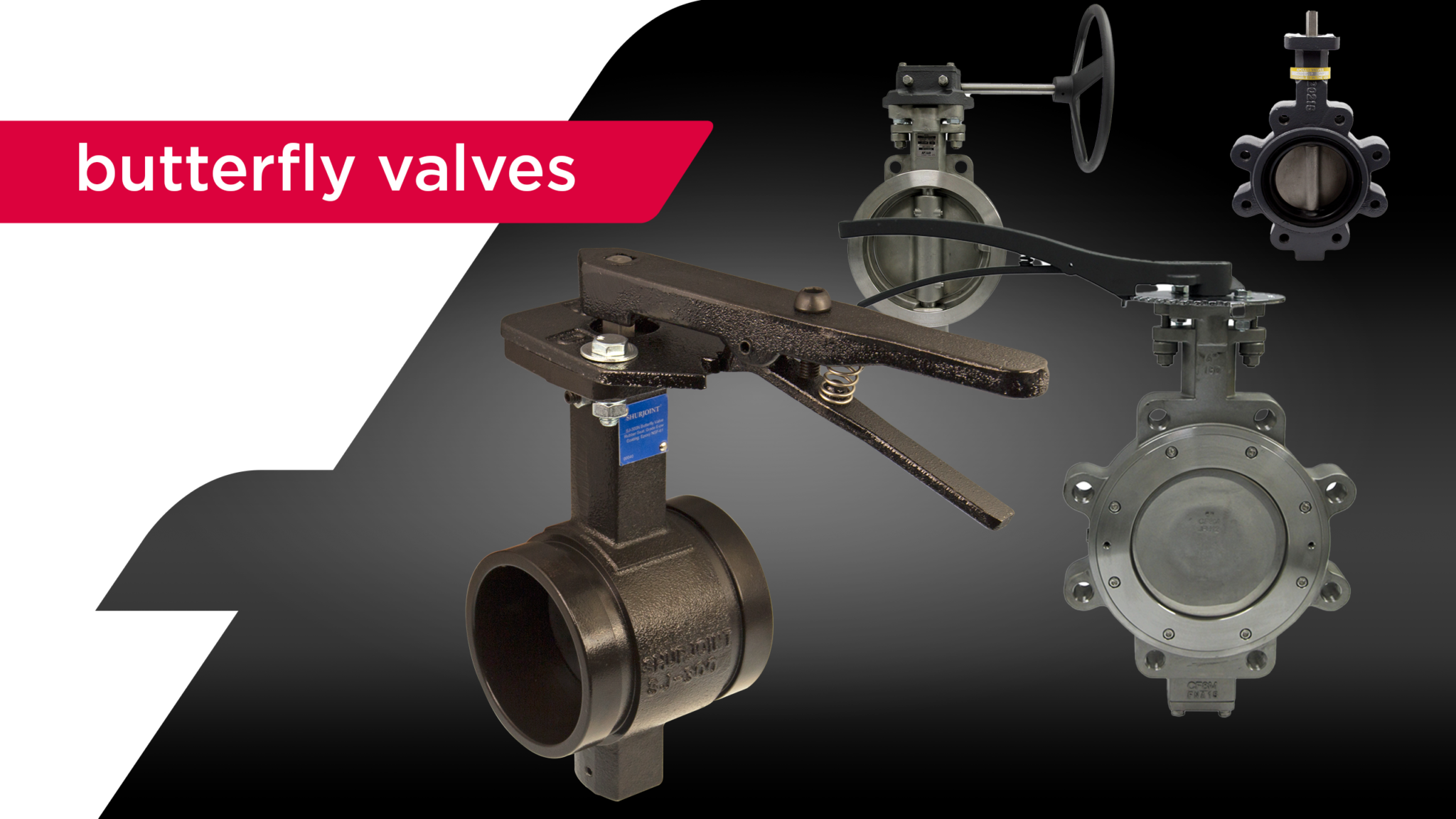 results butterfly apollo Aalberts IPS US